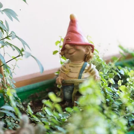 Family Paula Apartment Dubrovnik